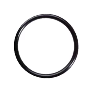 Oringi Aflas® TFE / P