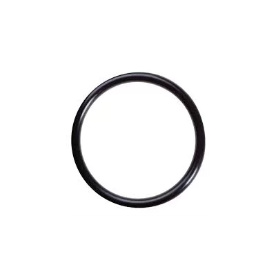 Oringi VITON FKM FDA 2.46 mm
